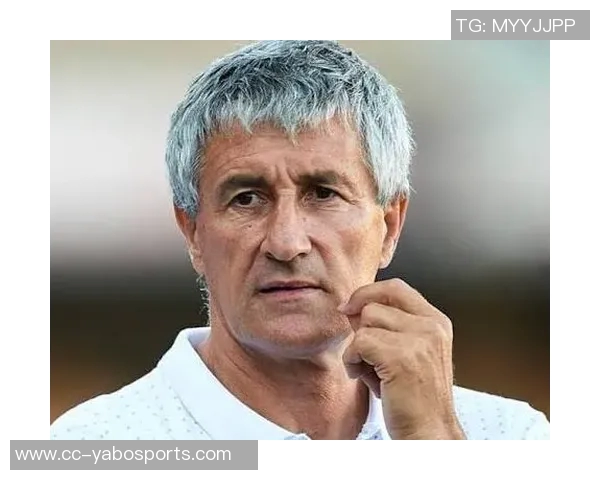 基克塞蒂恩先生离任公告及对未来发展的展望