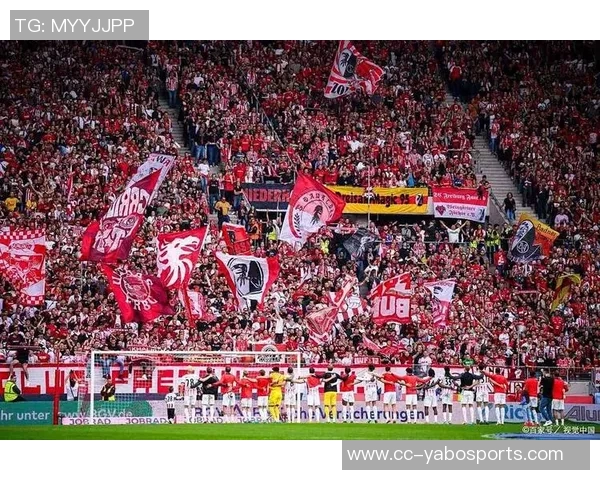天空预测再现冷门森林逆袭曼联曼城遭遇樱桃平局利物浦力克维拉